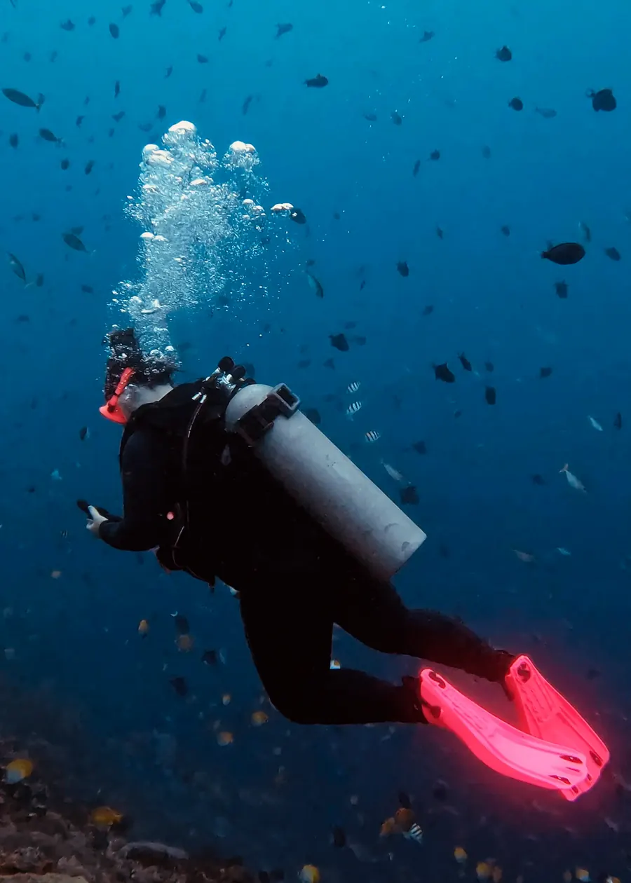 Mariya diving in pink fins with bubbles trailing above her