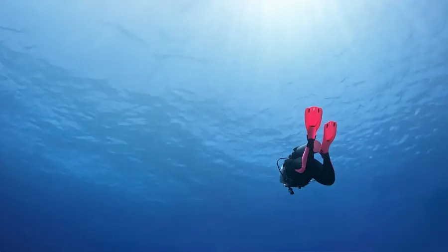 A diver in pink fins under shafts of sunlight