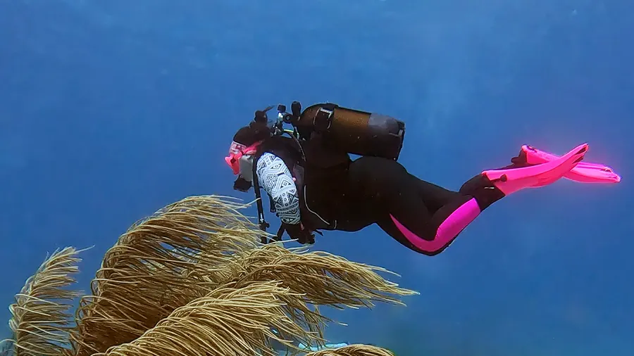 Mariya in pink fins swimming over sea fans