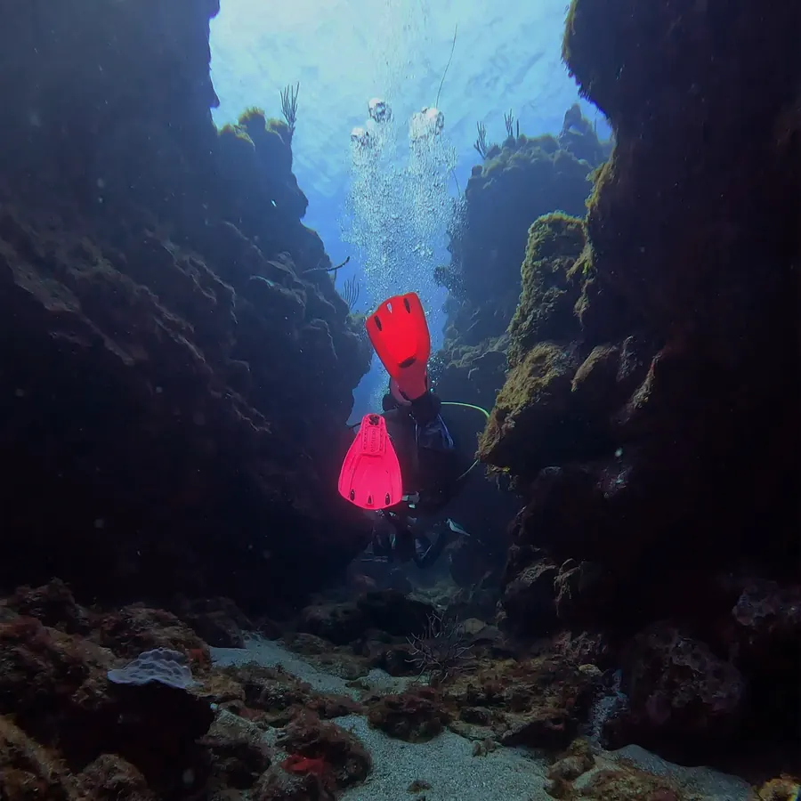 Pink fins disappearing into a narrow underwater canyon