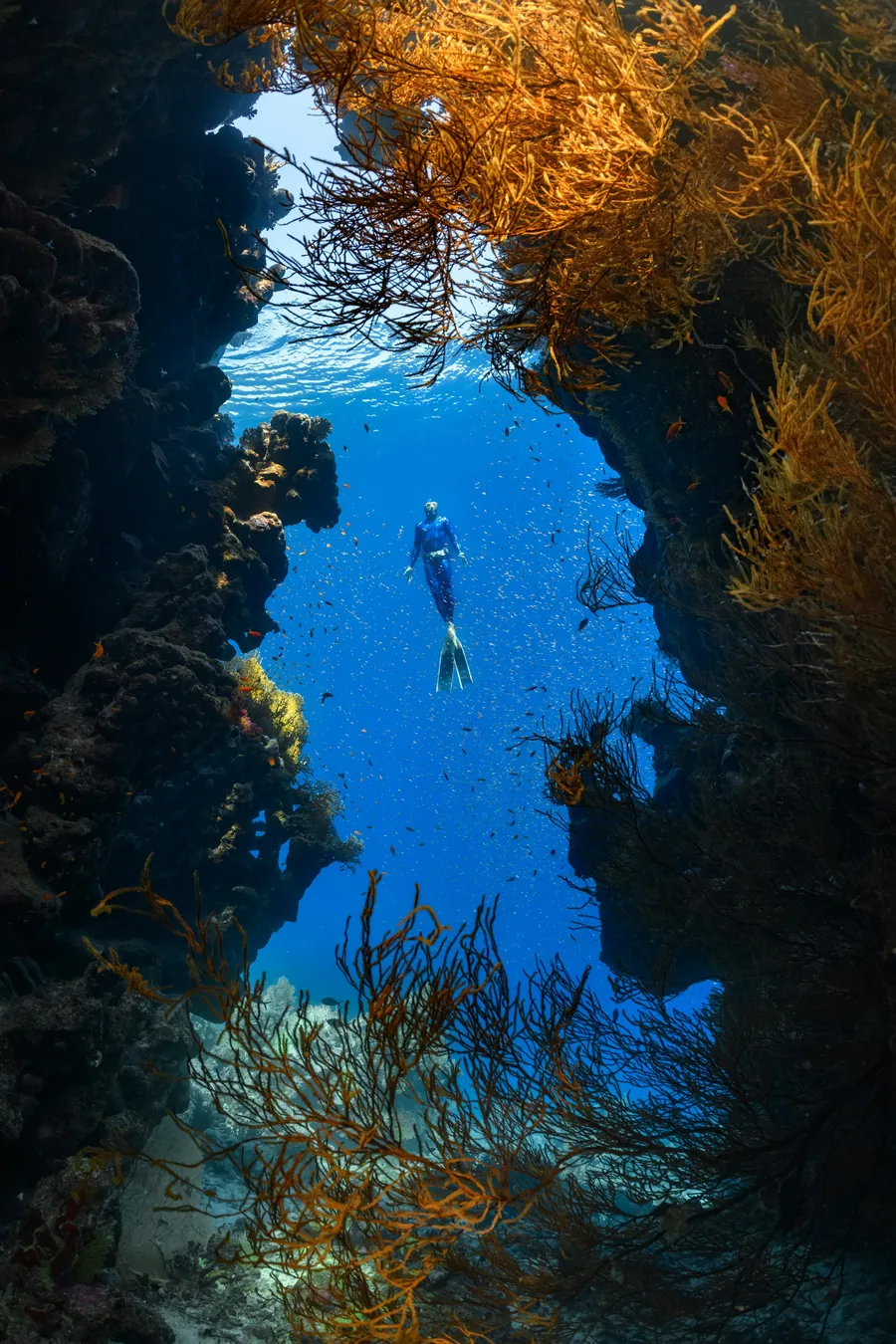 A diver swimming through a narrow reef canyon