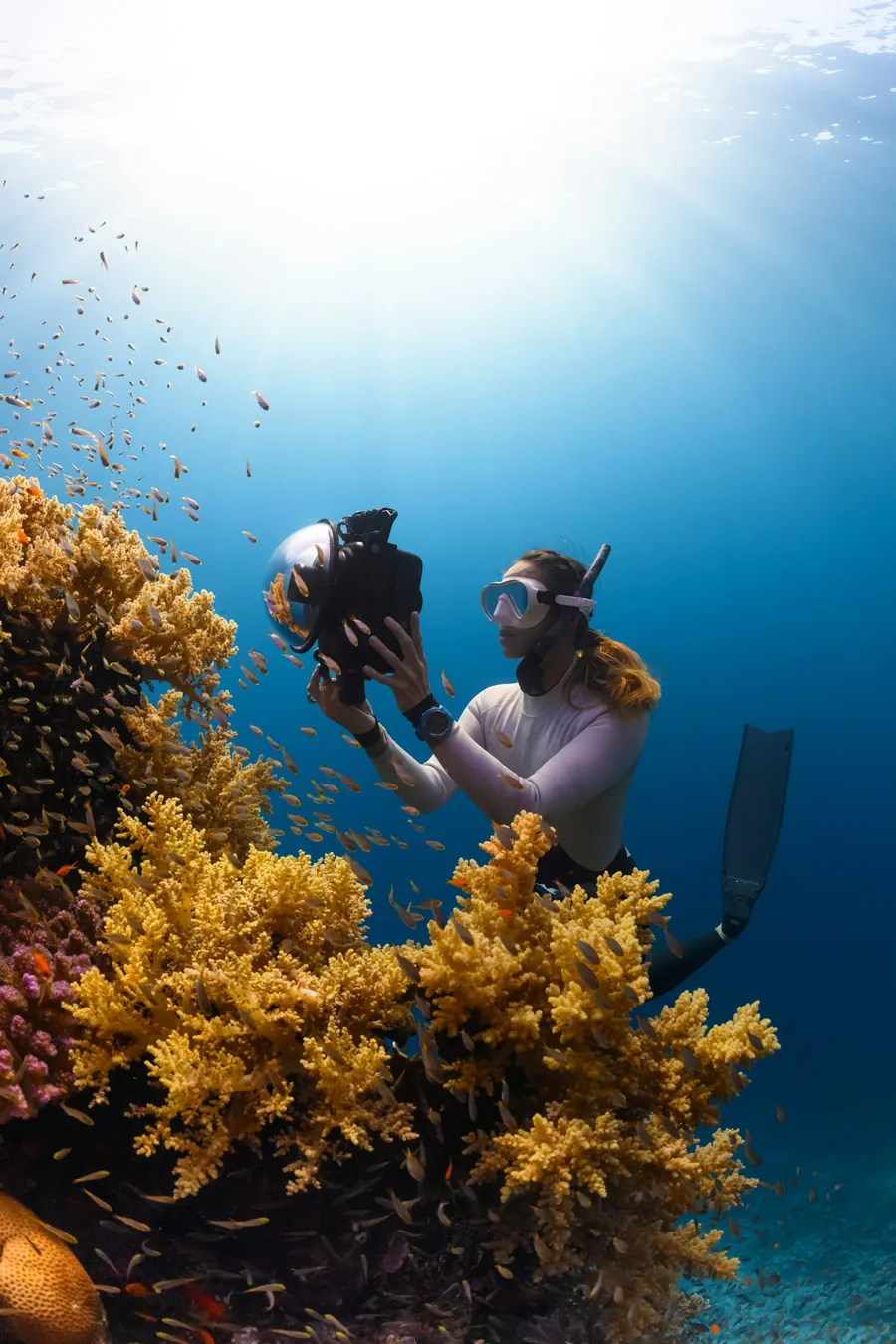 An underwater photographer shooting orange coral
